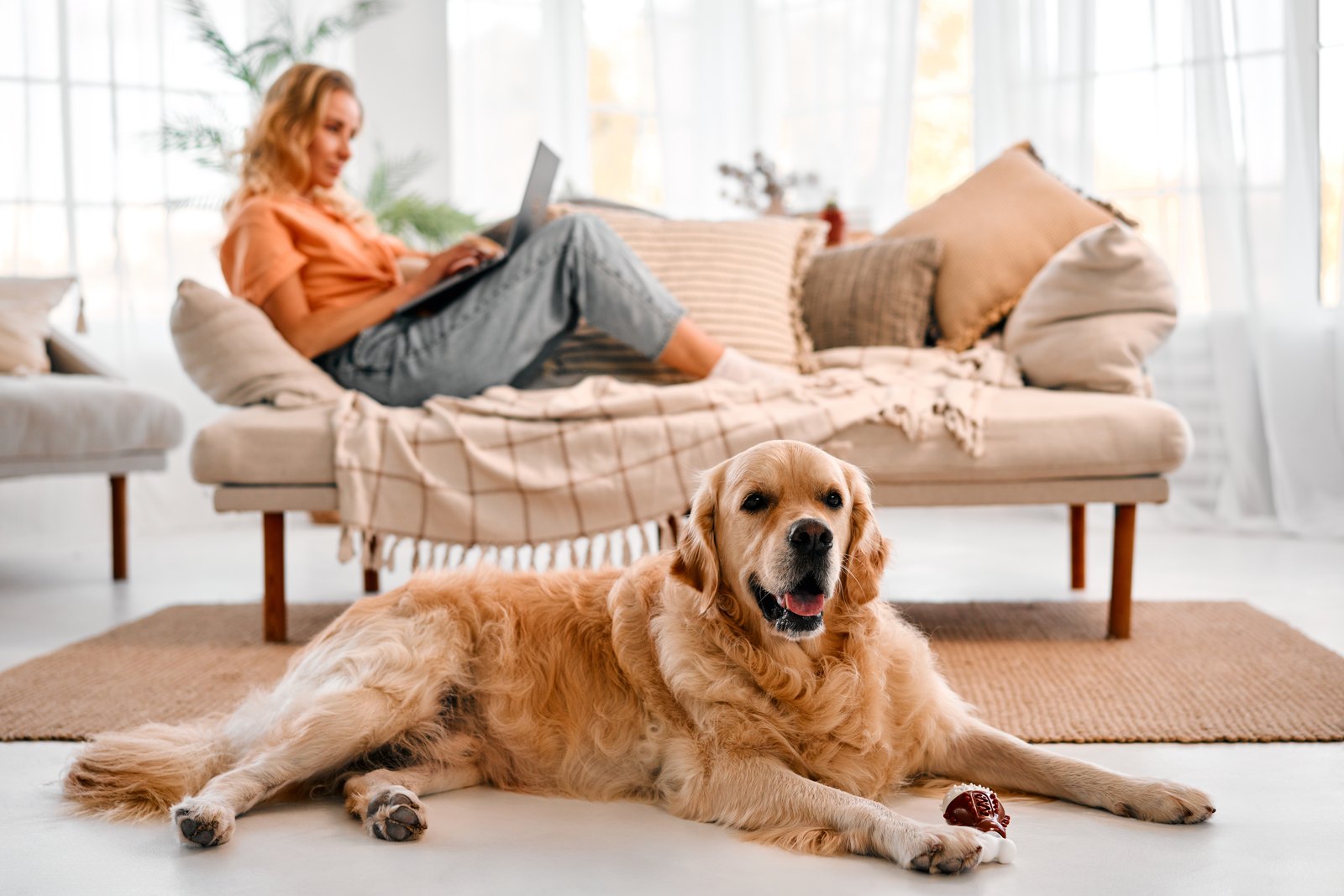 A person sharing a home workspace with a dog
