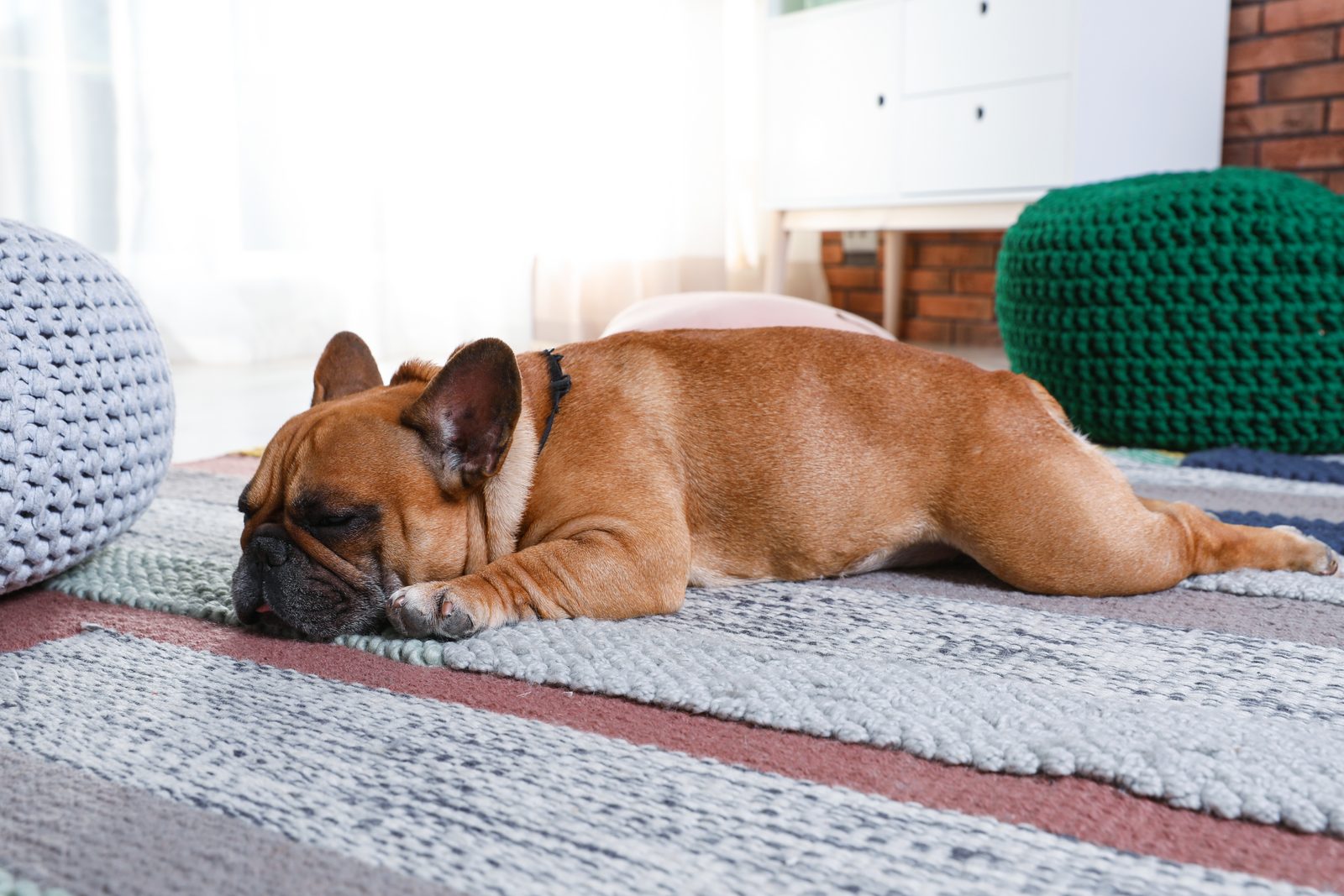 A French bulldog sleeps stretched out on a striped rug beside a green knit pouf, a brick wall and white dresser behind
