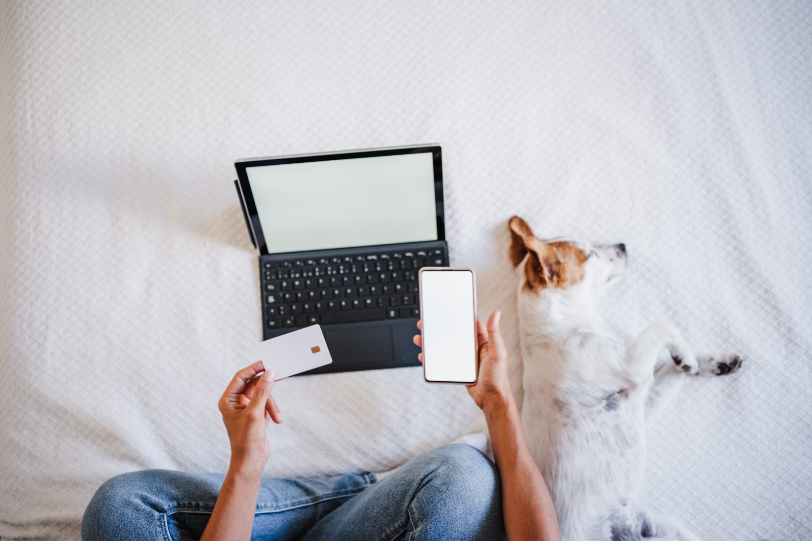 Overhead view of a person holding a bank card and phone beside an open laptop on a bed, a small white and tan dog asleep next to them