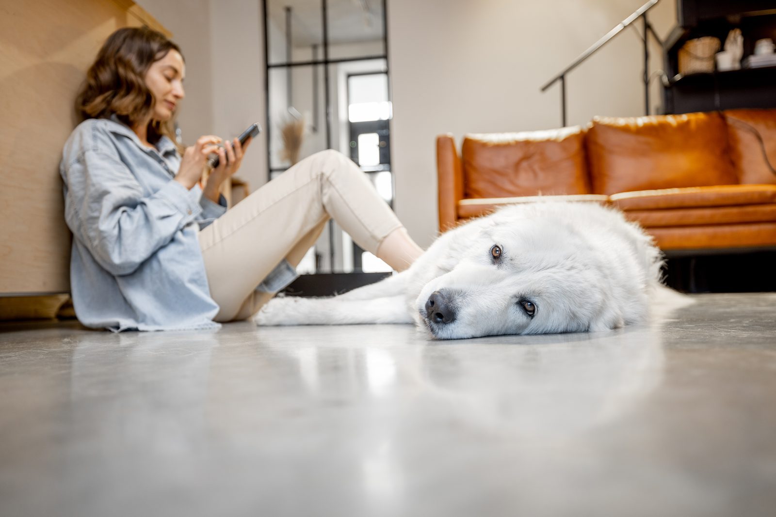 Woman sitting on a concrete floor checking her phone while a large white dog rests beside her near a tan leather sofa