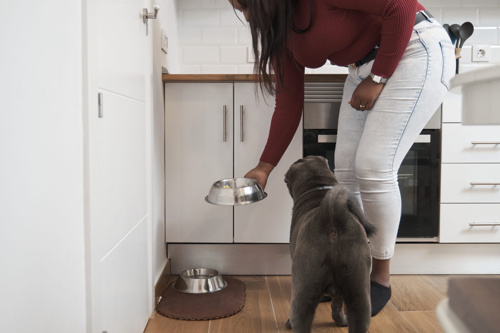 A woman sets a steel bowl down for a gray Shar Pei in a white kitchen, with a second bowl on a mat against the wall