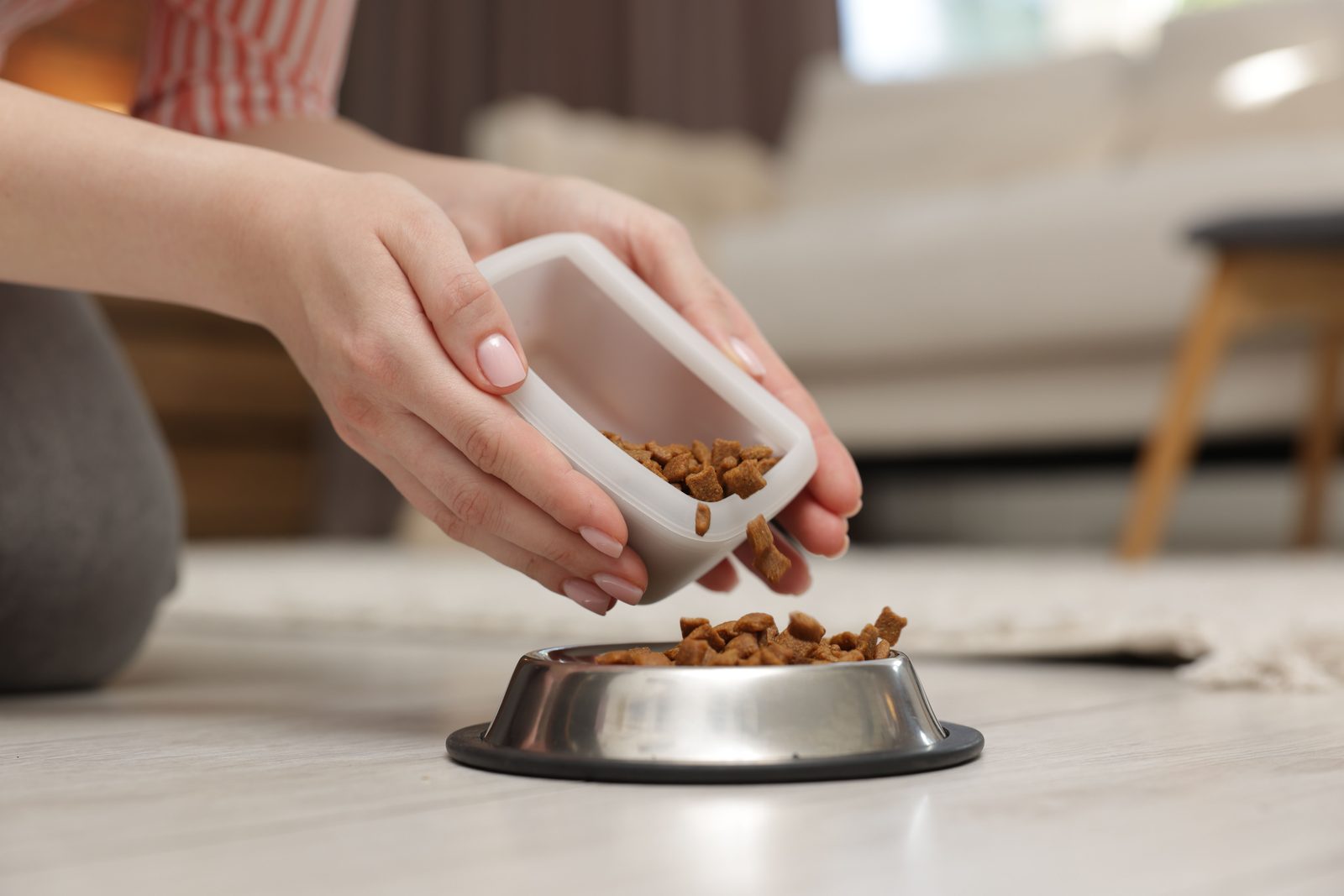 Hands tip dry kibble from a small plastic container into a steel dog bowl on a light wood floor, with a sofa blurred behind.