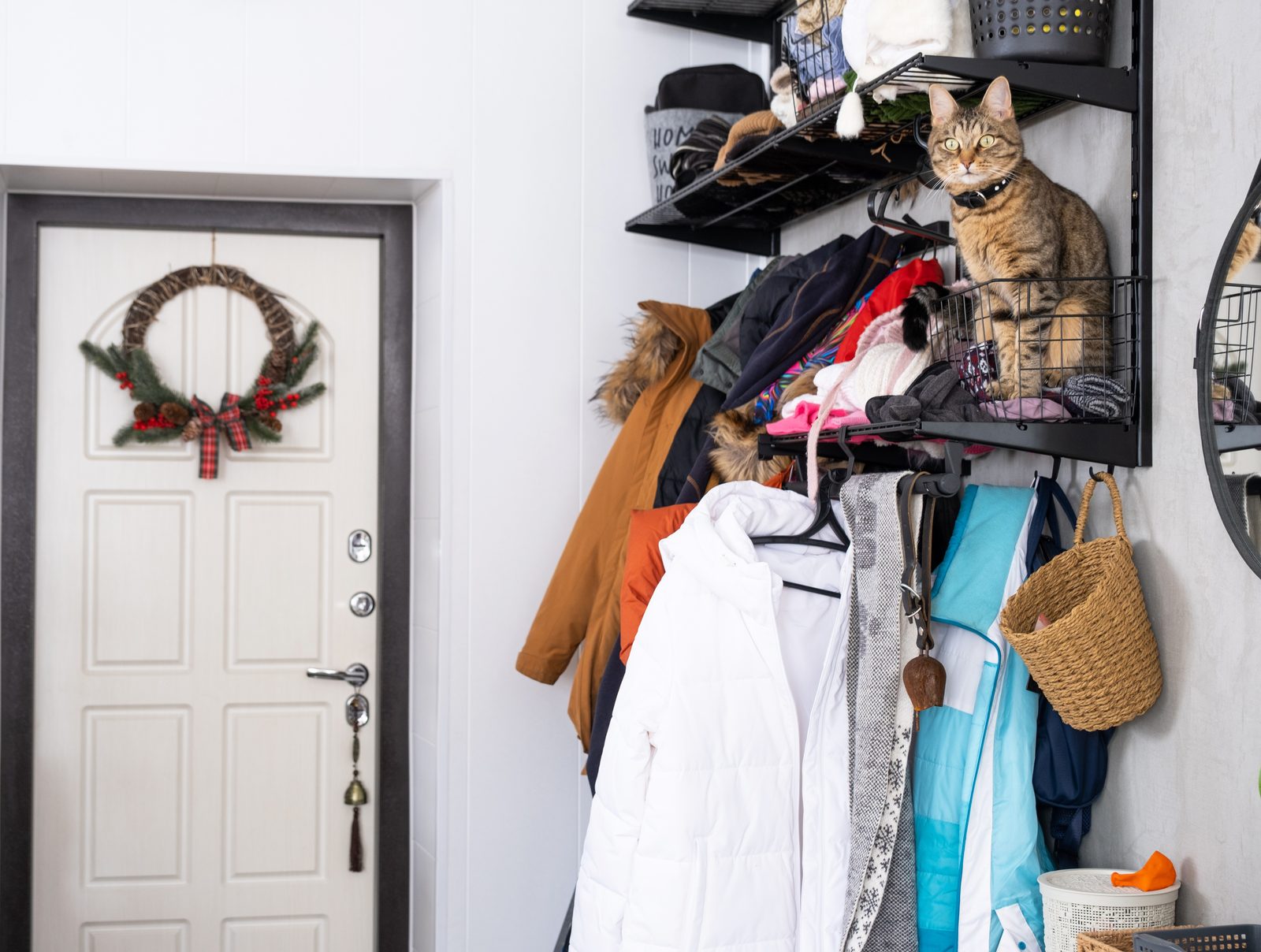 A tabby cat sits on a wire shelf above a crowded coat rack in a small entry hall, a wreath hanging on the white front door beside it