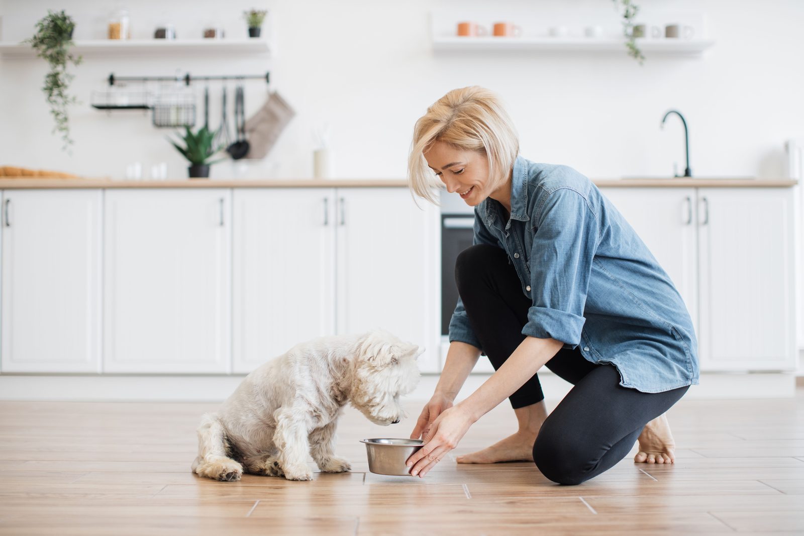 A woman kneels on a kitchen floor setting a steel bowl in front of a small white dog
